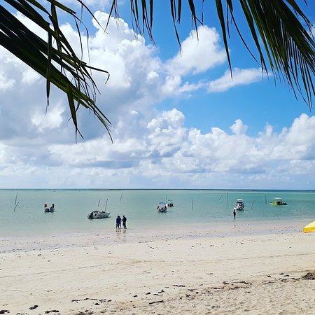 Bar da Praia Porto do Sol